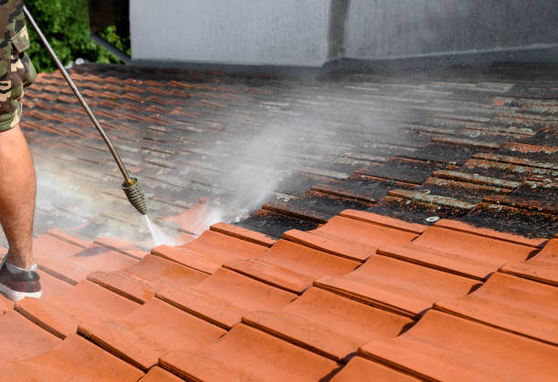 Best House Pressure Washing  in Westwood, NJ